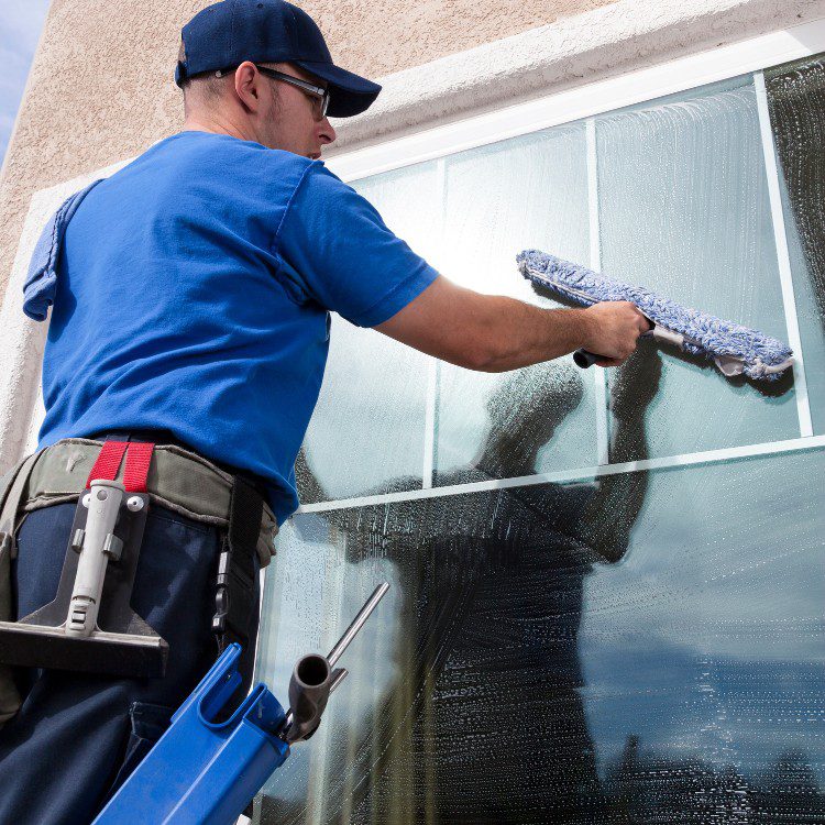 Window Cleaning Window Cleaning