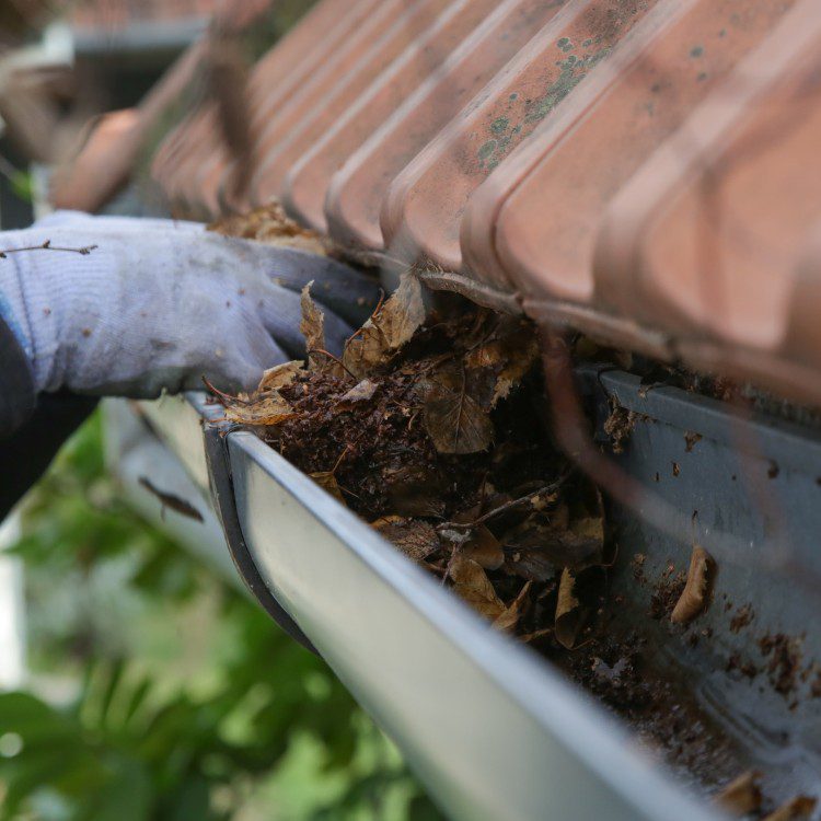 Gutter Cleaning Gutter Cleaning